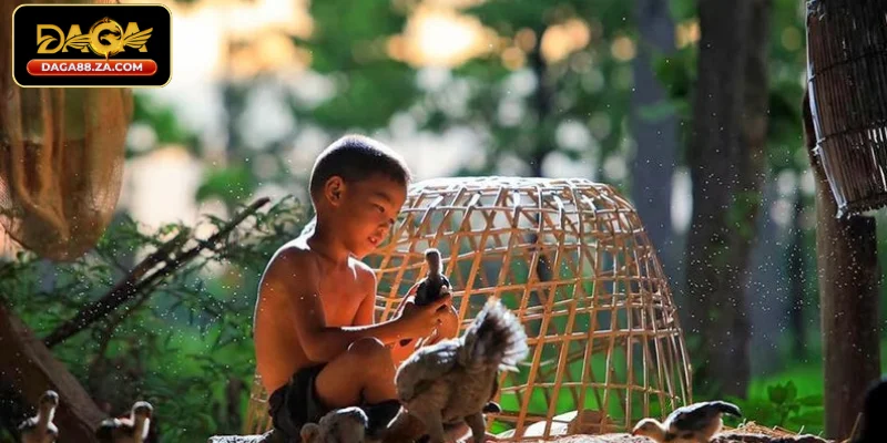 Cách tắm cho gà cựa sắt chi tiết tại DAGA88